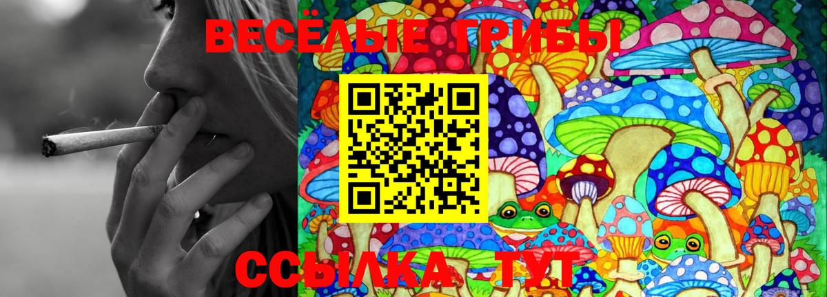 Галлюциногенные грибы мухоморы  Вход с VPN  Псилоцибиновые грибы Cubensis  Ирбит 